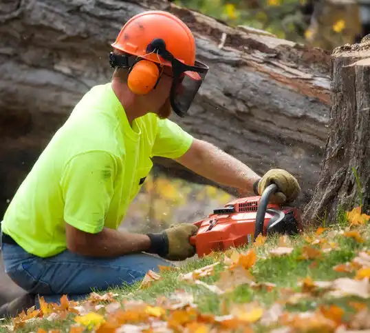 tree services Armonk